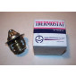 Thermostat for Daihatsu Hijet Min Truck S110P w/gasket